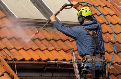 Démoussage et hydrofuge de toiture à Botans